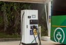 BYD’s Assertive Market Strategy Redefines China’s EV Landscape, Reshaping Rival Perceptions